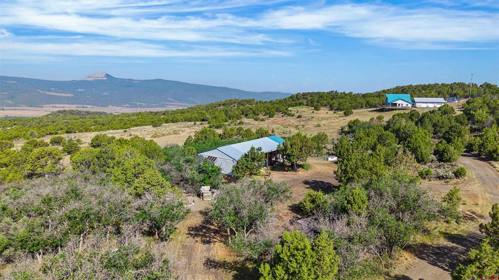 50208 N Coon Creek Road Property Photo 19