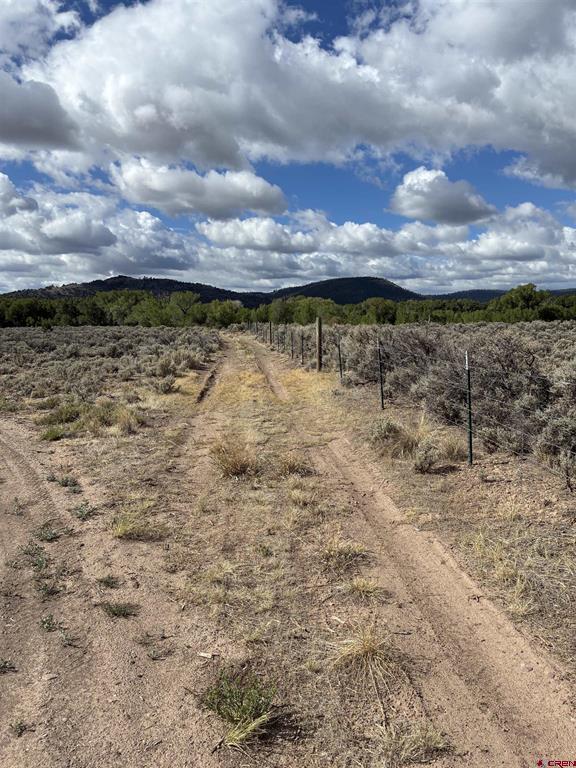 29622 State Highway 17 Property Photo 1