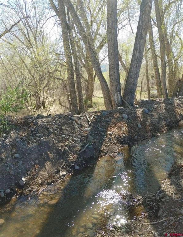 29622 State Highway 17 Property Photo 2