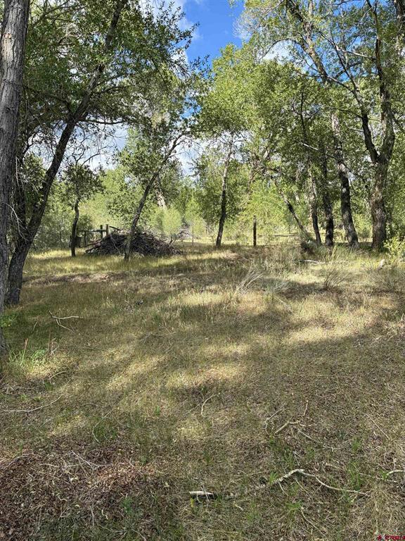 29622 State Highway 17 Property Photo 3