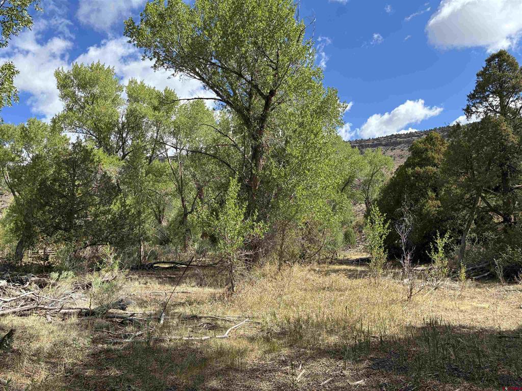 29622 State Highway 17 Property Photo 4