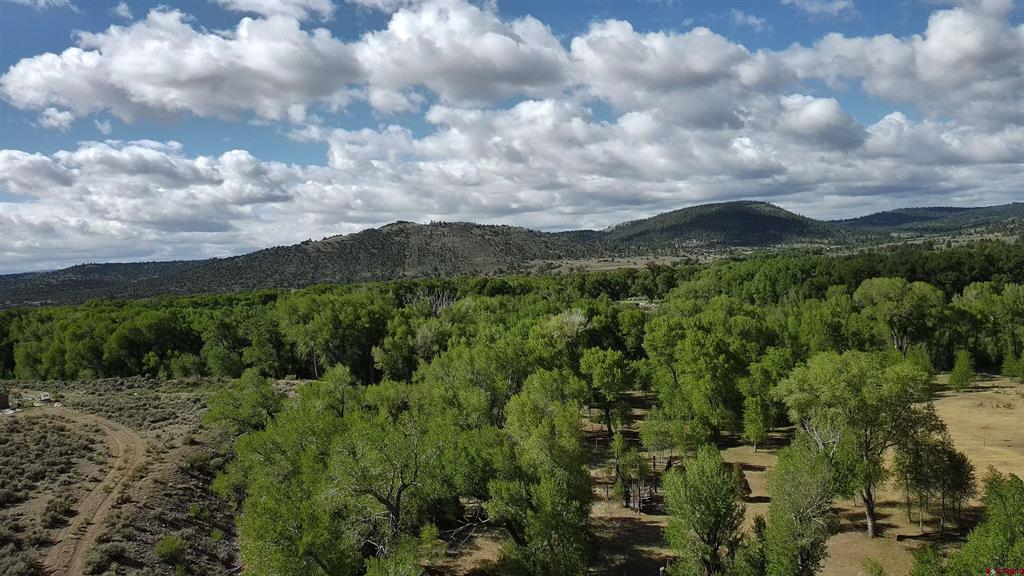 29622 State Highway 17 Property Photo 6