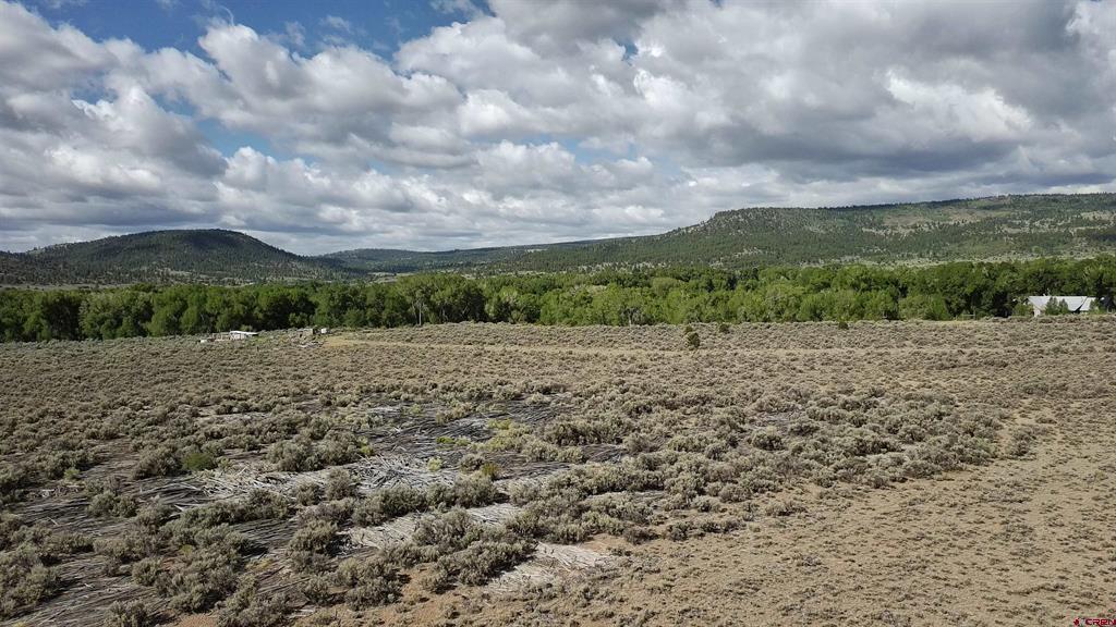 29622 State Highway 17 Property Photo 8
