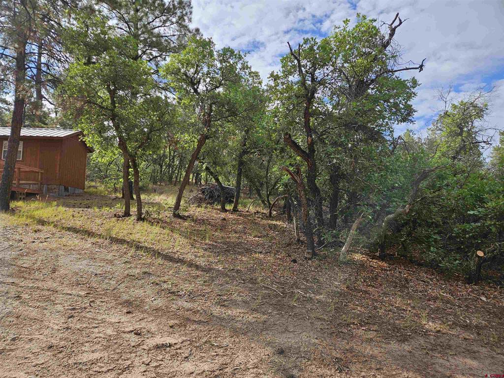 53 Crooked Rd Property Photo 17