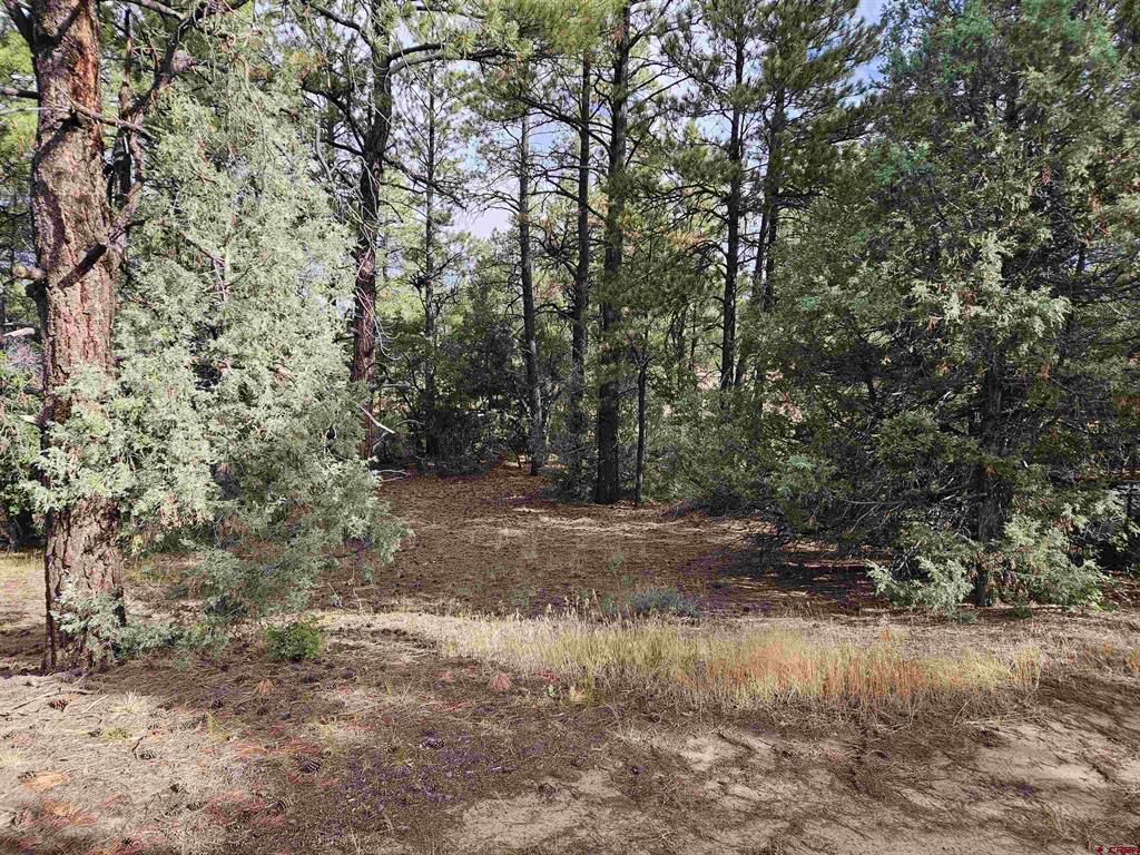 53 Crooked Rd Property Photo 20