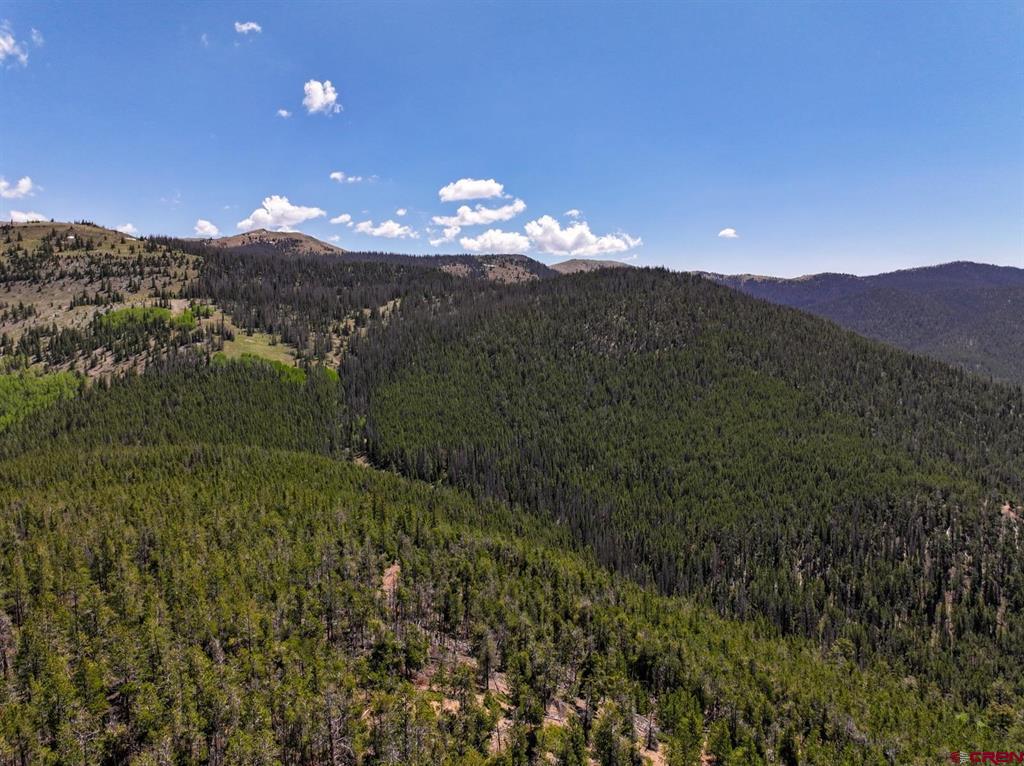 000 White Pine Upper Tomichi Property Photo 3
