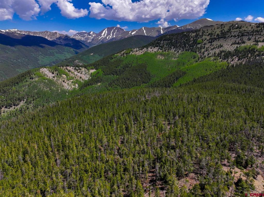 000 White Pine Upper Tomichi Property Photo 6