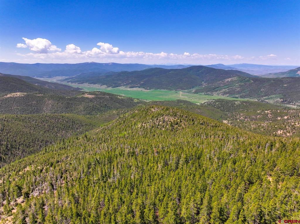 000 White Pine Upper Tomichi Property Photo 9