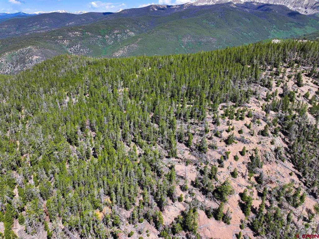 000 White Pine Upper Tomichi Property Photo 14