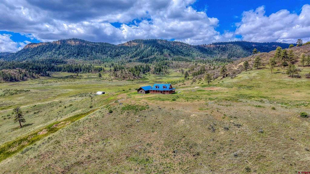 25081 & X Us Highway 84 Property Photo 40