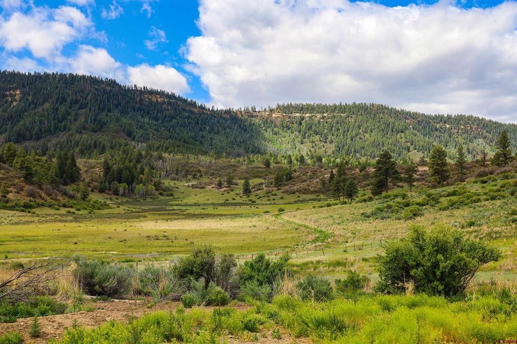 25081 & X Us Highway 84 Property Photo 41