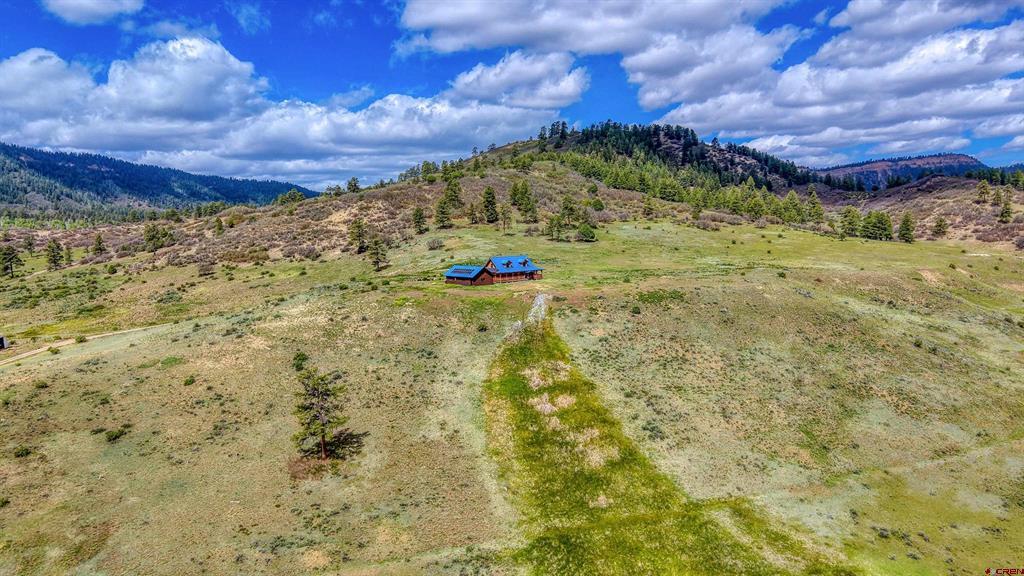 25081 & X Us Highway 84 Property Photo 42