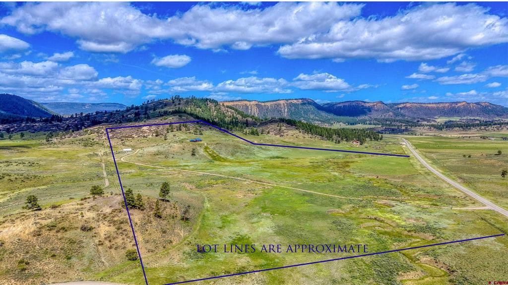 25081 & X Us Highway 84 Property Photo 43