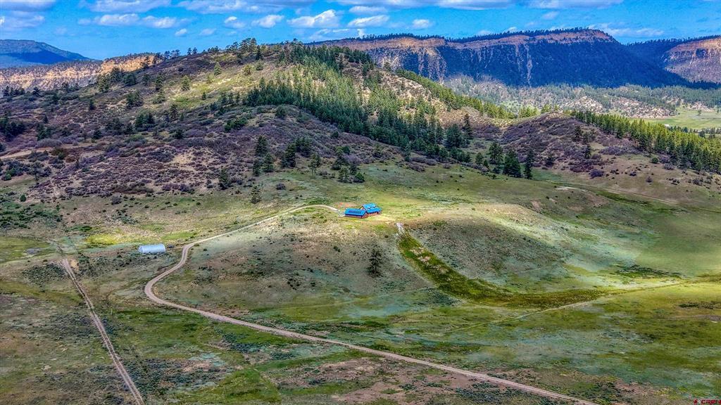 25081 & X Us Highway 84 Property Photo 45