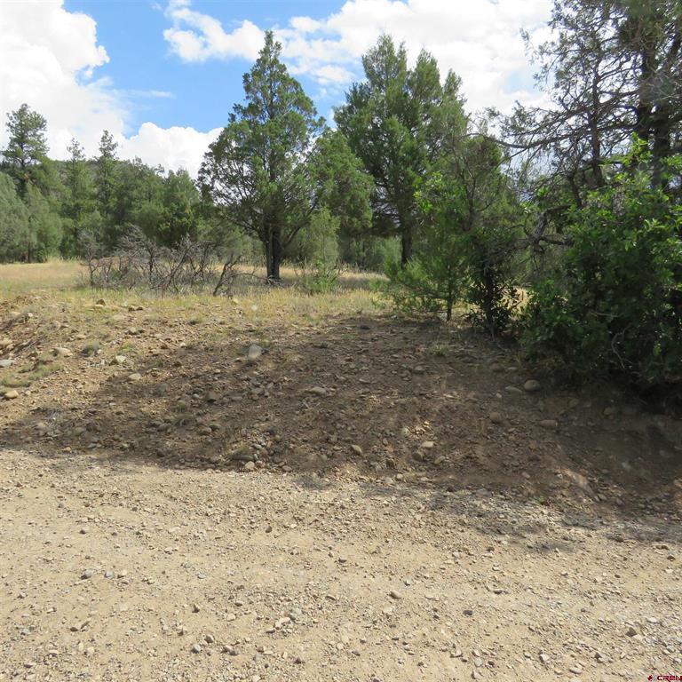 147 Calderwood Place Property Photo 1