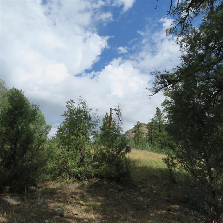 147 Calderwood Place Property Photo 4