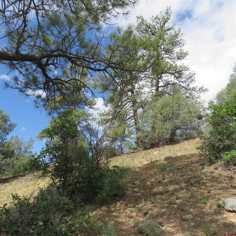 147 Calderwood Place Property Photo 7