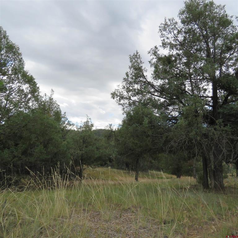 147 Calderwood Place Property Photo 8