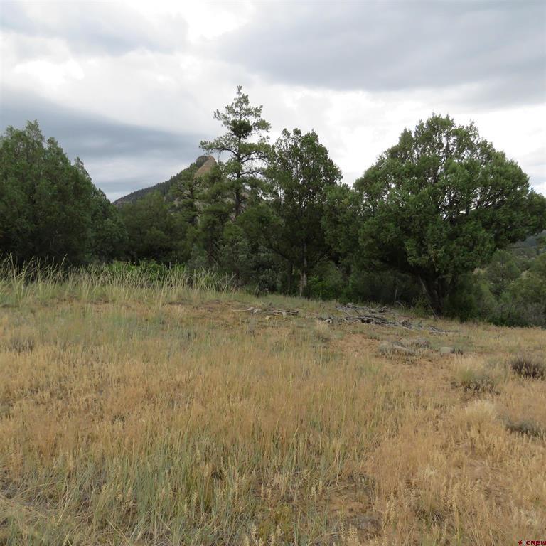 147 Calderwood Place Property Photo 9