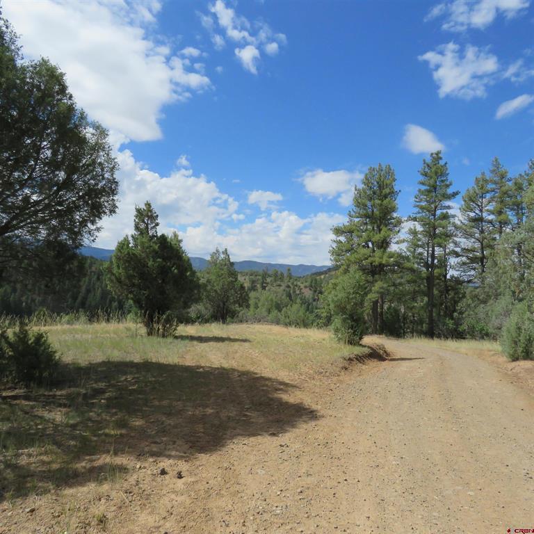147 Calderwood Place Property Photo 10