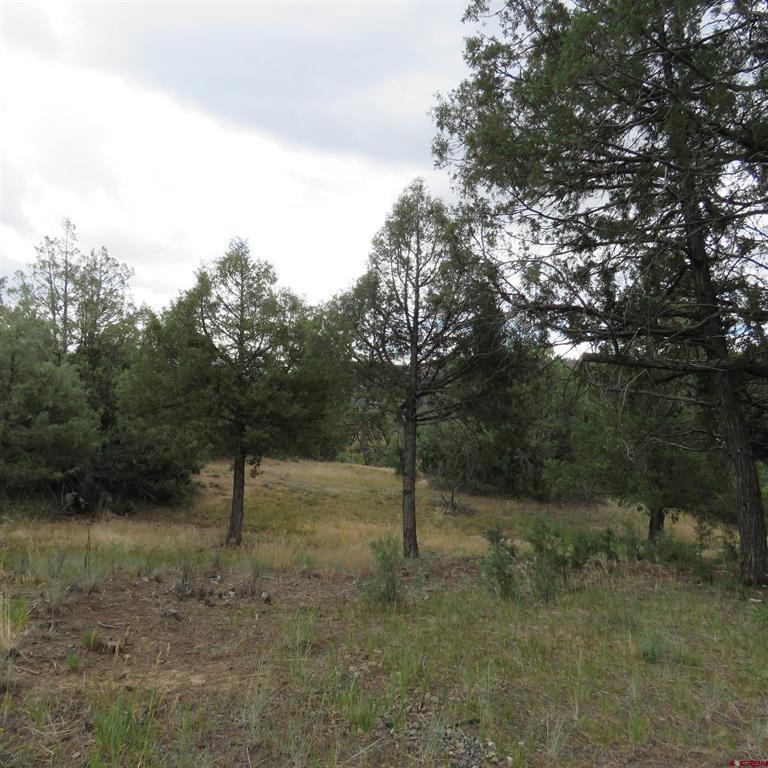 147 Calderwood Place Property Photo 11