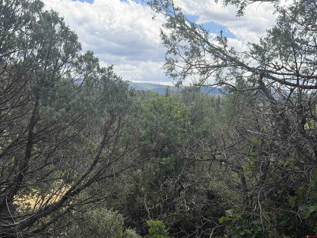 147 Calderwood Place Property Photo 13