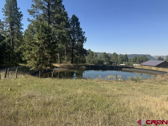 3471 Highway 160 Property Photo 5