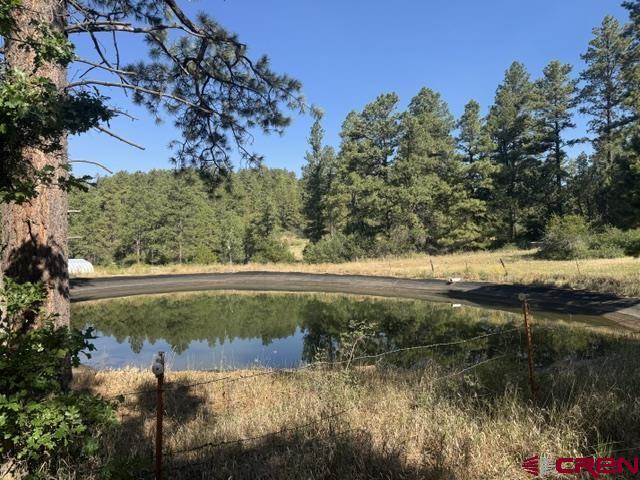 3471 Highway 160 Property Photo 6