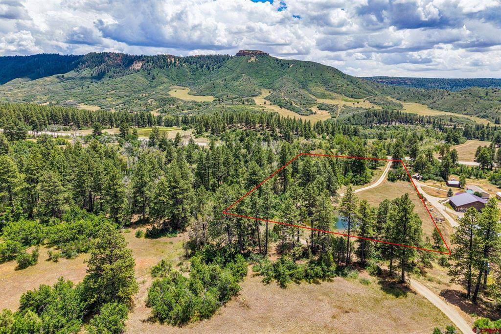 3471 Highway 160 Property Photo 8