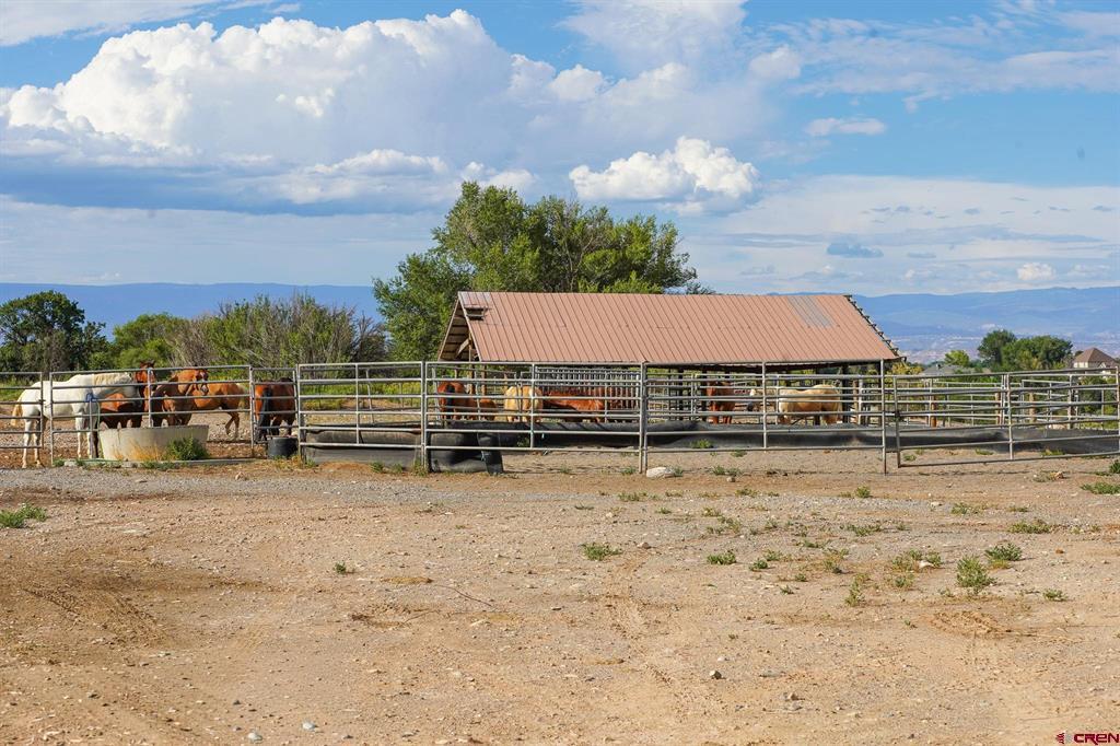 582 1600 Road Property Photo 28