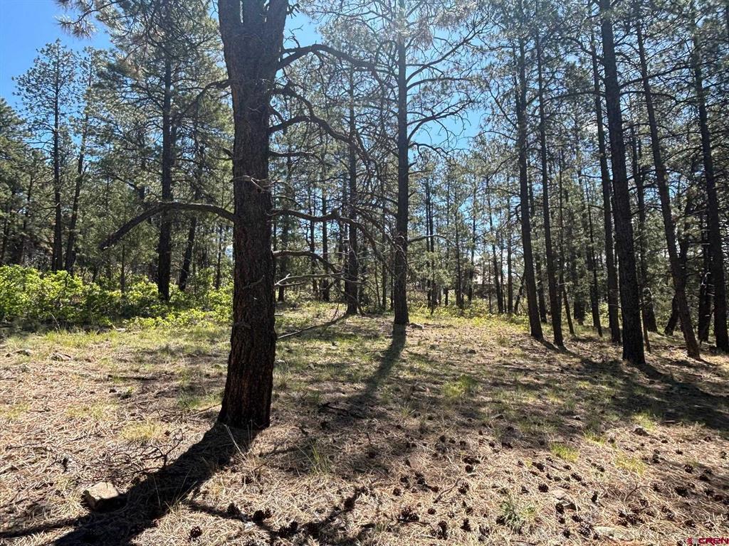 1523 West View Road Property Photo 3