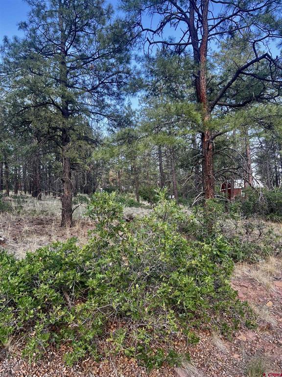 1523 West View Road Property Photo 10