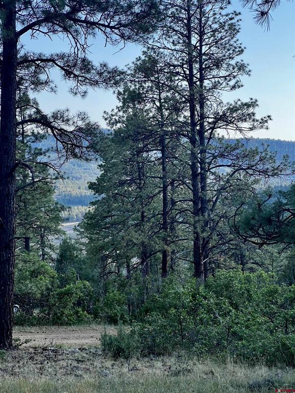 1523 West View Road Property Photo 13