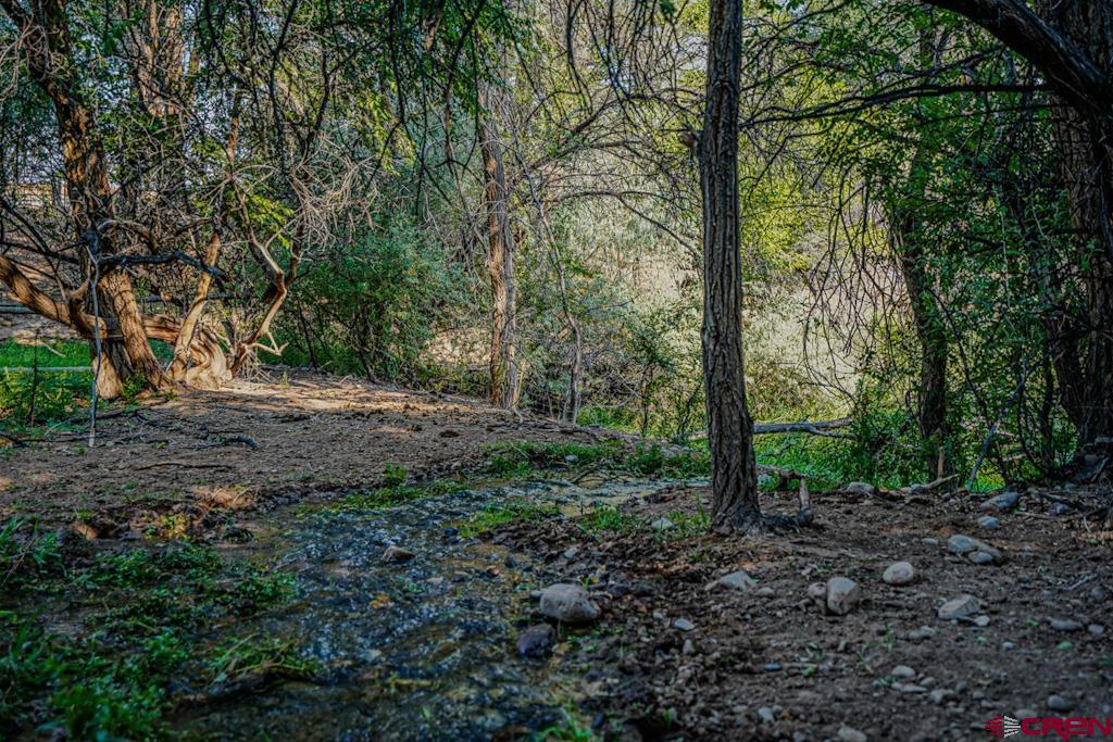7531 High Mesa Road Property Photo 8