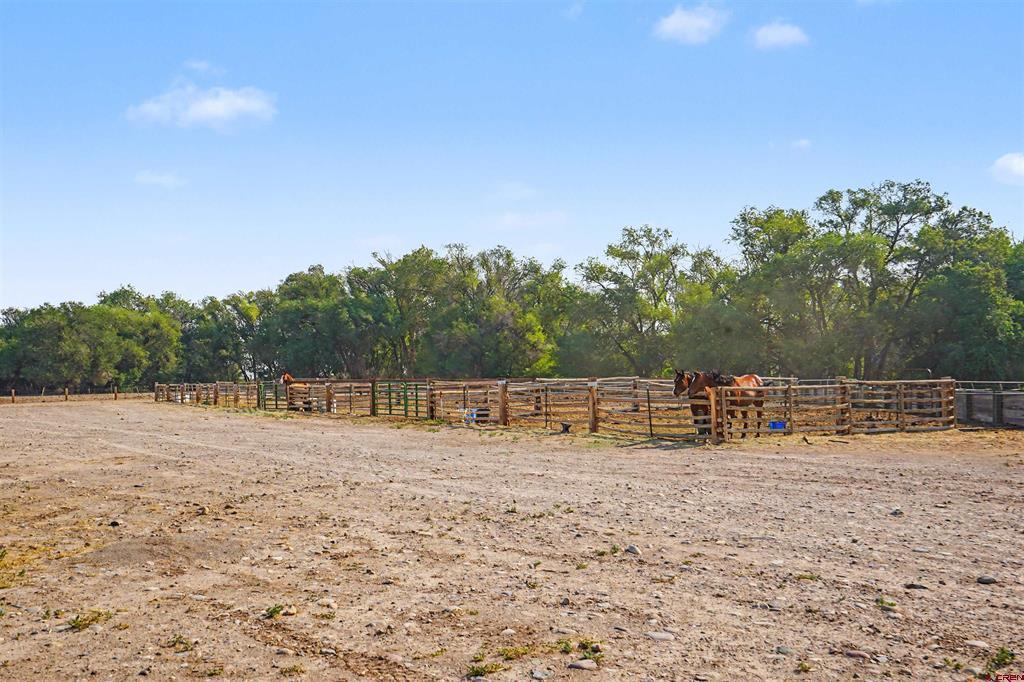 7531 High Mesa Road Property Photo 36