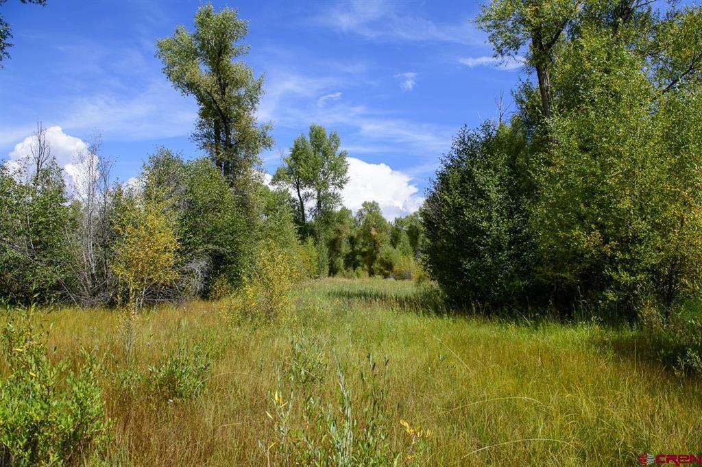451 Kokanee Court Property Photo 1