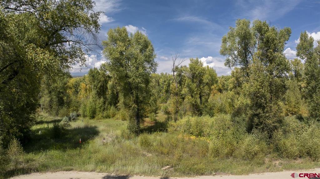 451 Kokanee Court Property Photo 5
