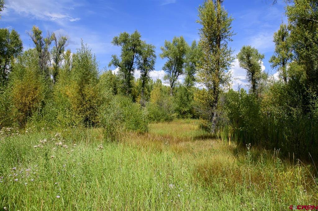 451 Kokanee Court Property Photo 16
