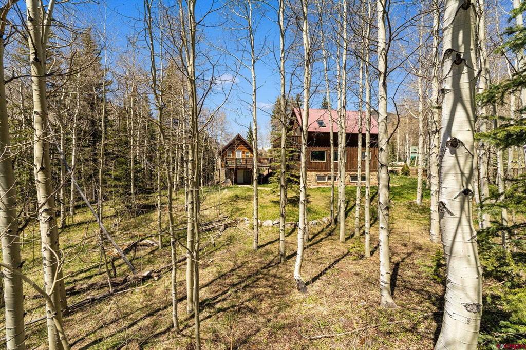 454 Silverglance Way Property Photo 9