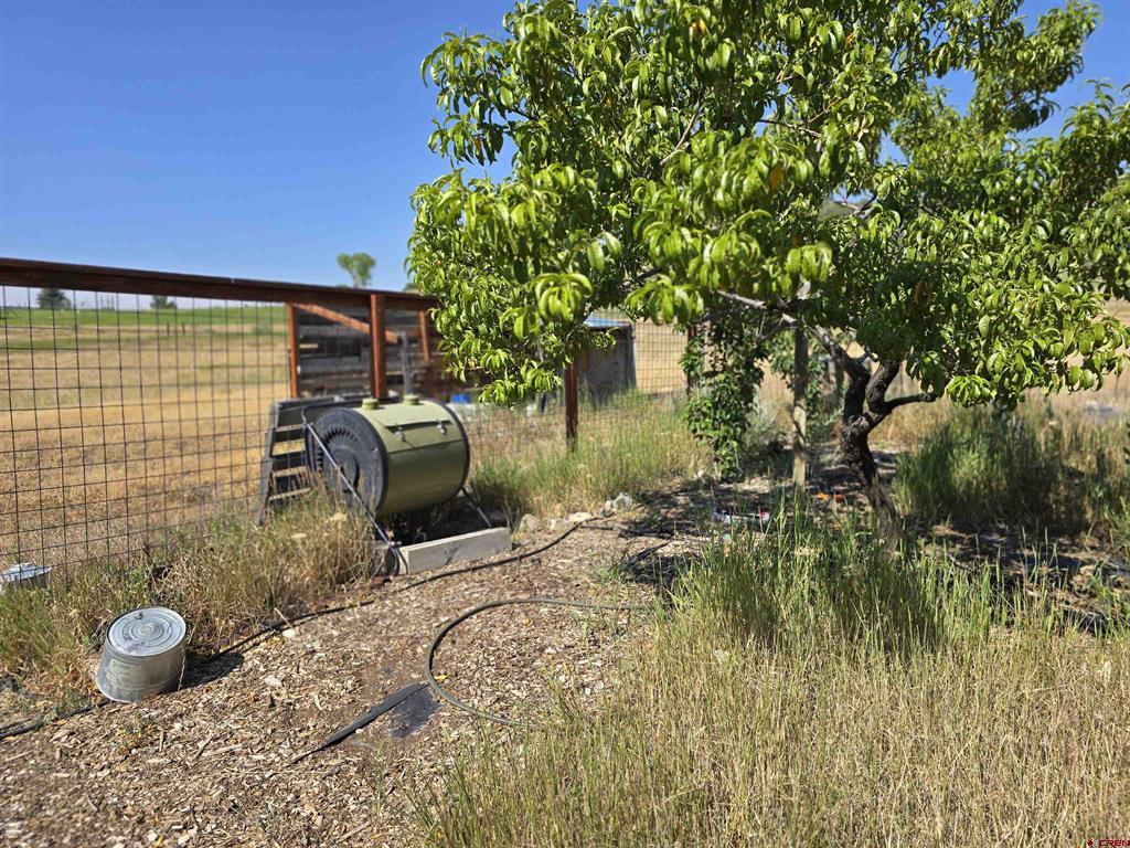 41050 Lamborn Mesa Road Property Photo 33