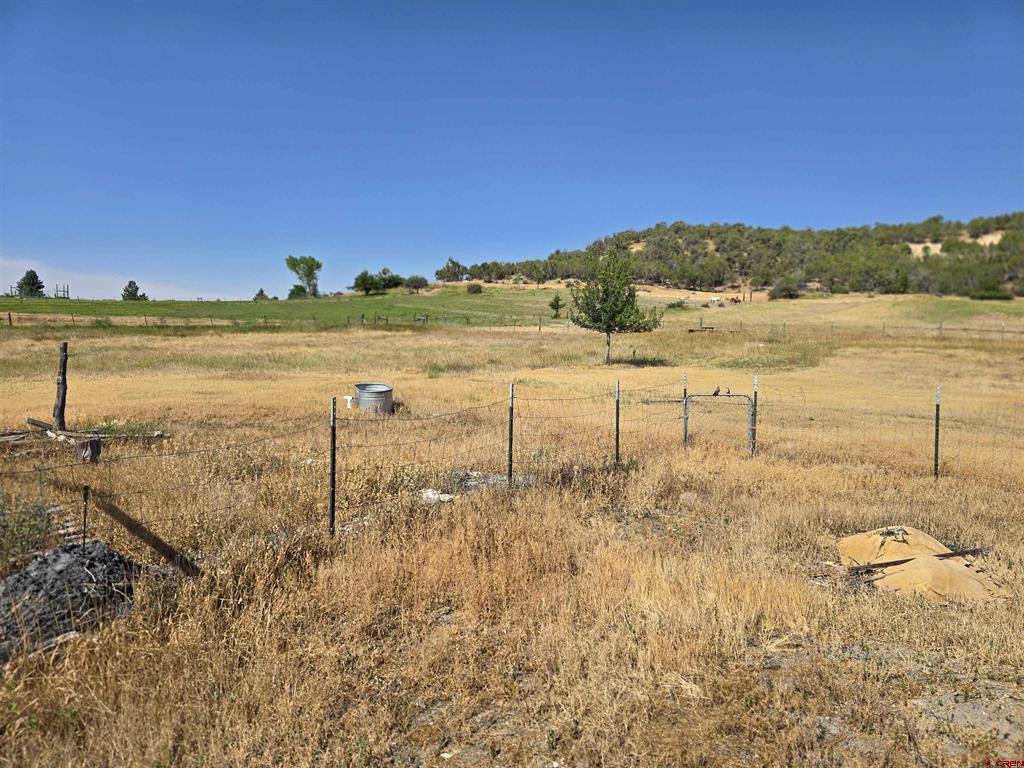 41050 Lamborn Mesa Road Property Photo 34