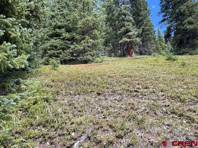 Tbd Cr 35 Property Photo 6