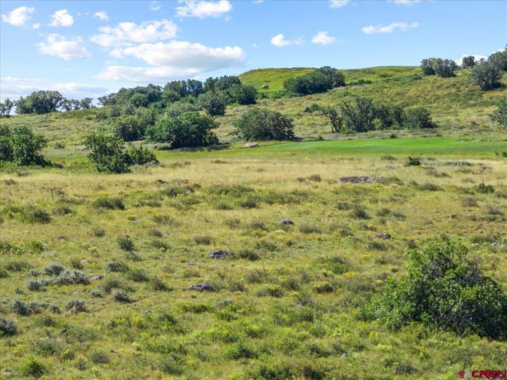 813 Cornestone Loop Property Photo 12