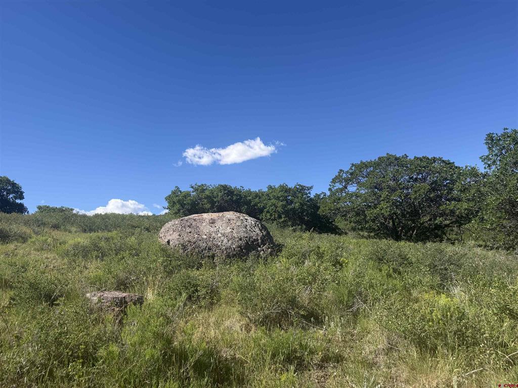 813 Cornestone Loop Property Photo 19