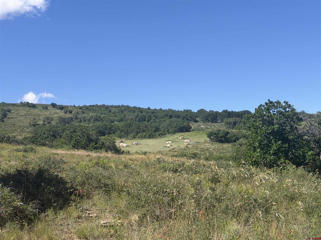 813 Cornestone Loop Property Photo 20
