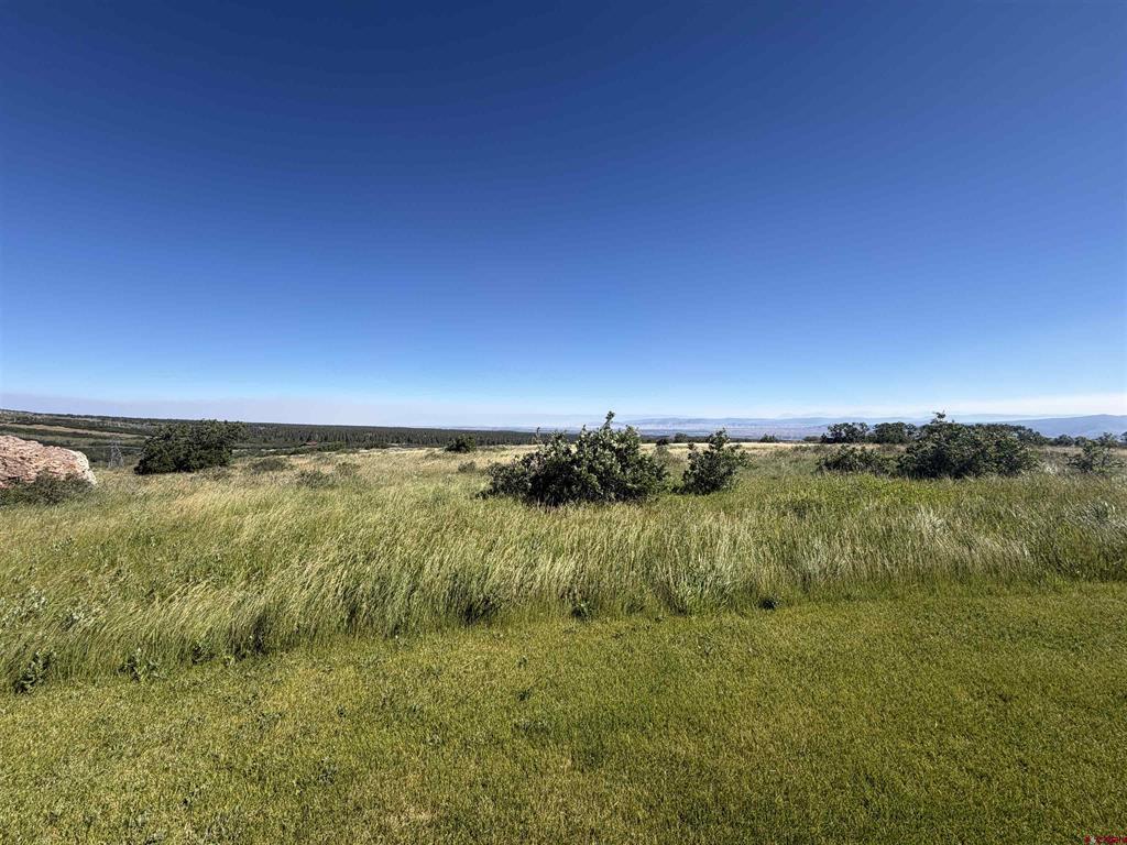 813 Cornestone Loop Property Photo 23