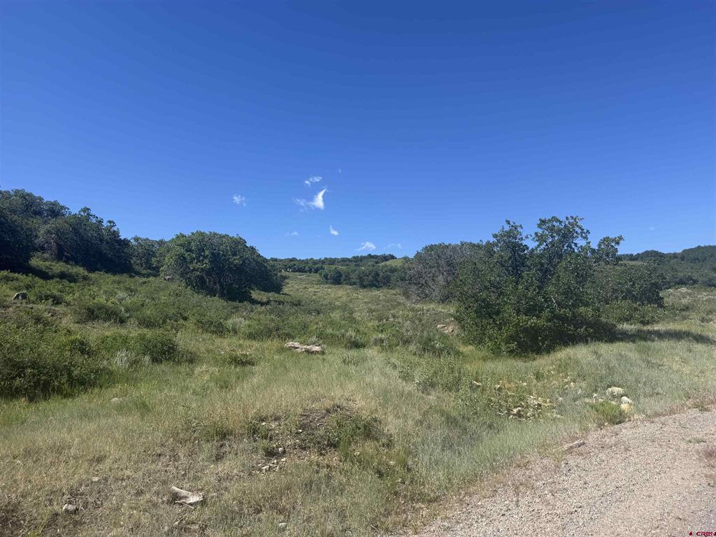 813 Cornestone Loop Property Photo 24