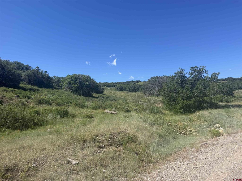 813 Cornestone Loop Property Photo 25