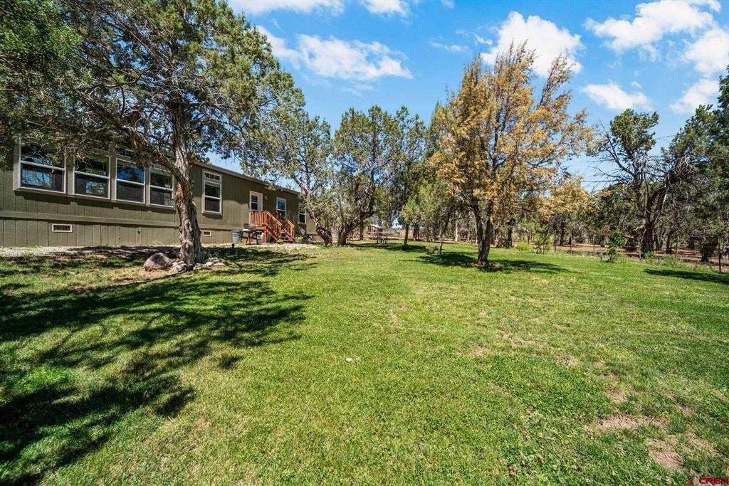 2943 Highway 151 Property Photo 2