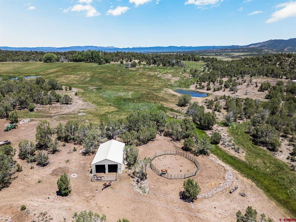 2943 Highway 151 Property Photo 3